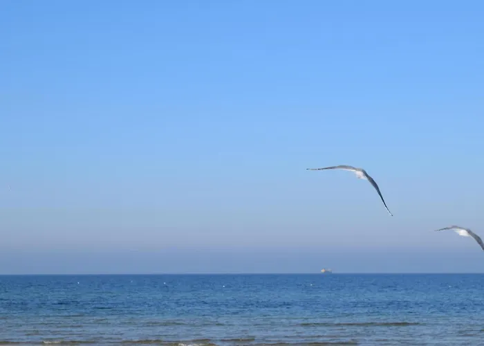 Front In With Wifi Feriehus *